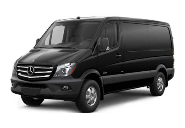 limo services in New York with Van 11 or 14 Passengers